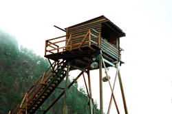 Laksegiljene og sitjenota