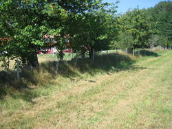 Torvgjerdet i Søgne