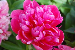 En staselig 90-åring