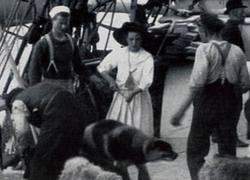 Lola - sydpolhundenes beste venn