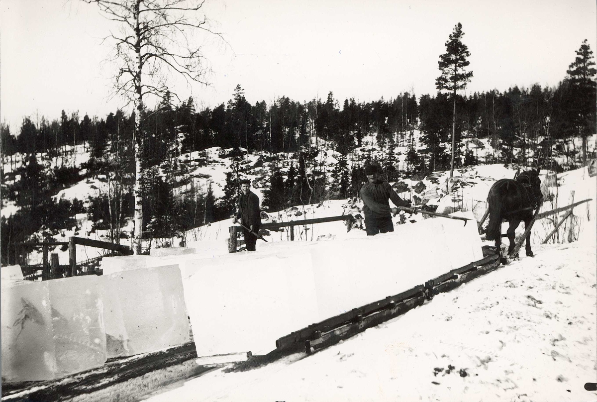 Iskjøring, Nesodden, Akershus, 1907. Arbeidere med ishaker plasserer isblokker på sleder trukket av hester.
Fra serie tatt av iseksportør Axel Quinsgaard Wiborg (d. 1944).