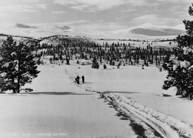 Avfotografert postkort. Tre skiløpere på tur i snødekt skogs- og fjelllandskap ved Fefor i Gudbrandsdalen.
