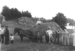Høyonn, fotografert på jordet kalt Kalvehaven, Justvik i dav
