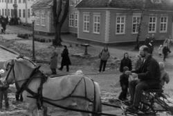 Julemarkedet 1987. Hesten Laila og publikum i bysamlingen. C
