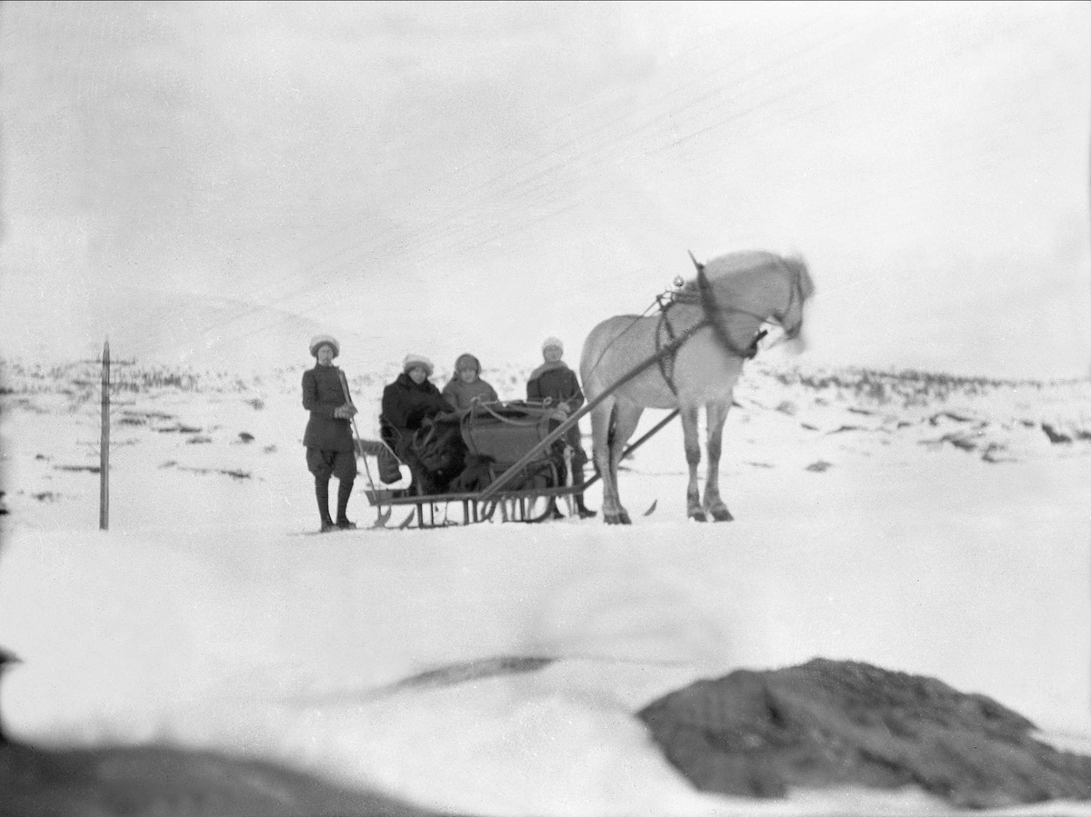 En hest står med hesteslede lastet med to mennesker og bagasje. Robsahm og Lund.