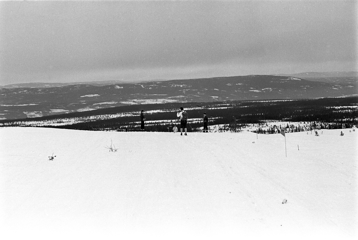Deltaker på vei over fjellet til Lillehammer. Birkebeinerrennet fra Rena til Lillehammer 1963.