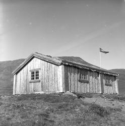 Årdal, 28.08.1955, hytte på fjellet.