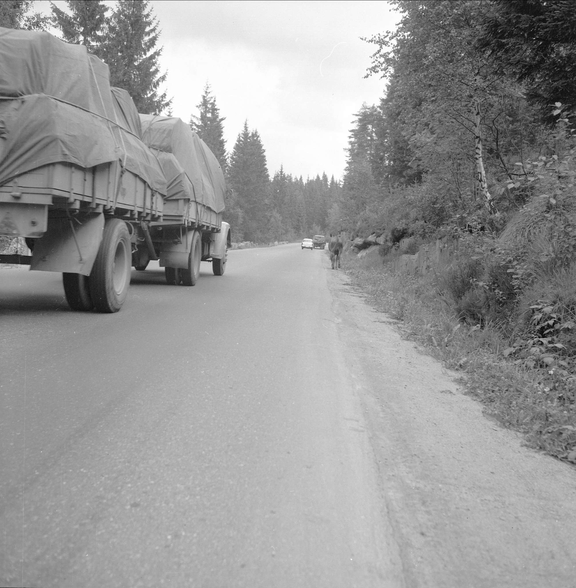 Drammensveien, 21.08.1958. Landskap med vei og lastebil.