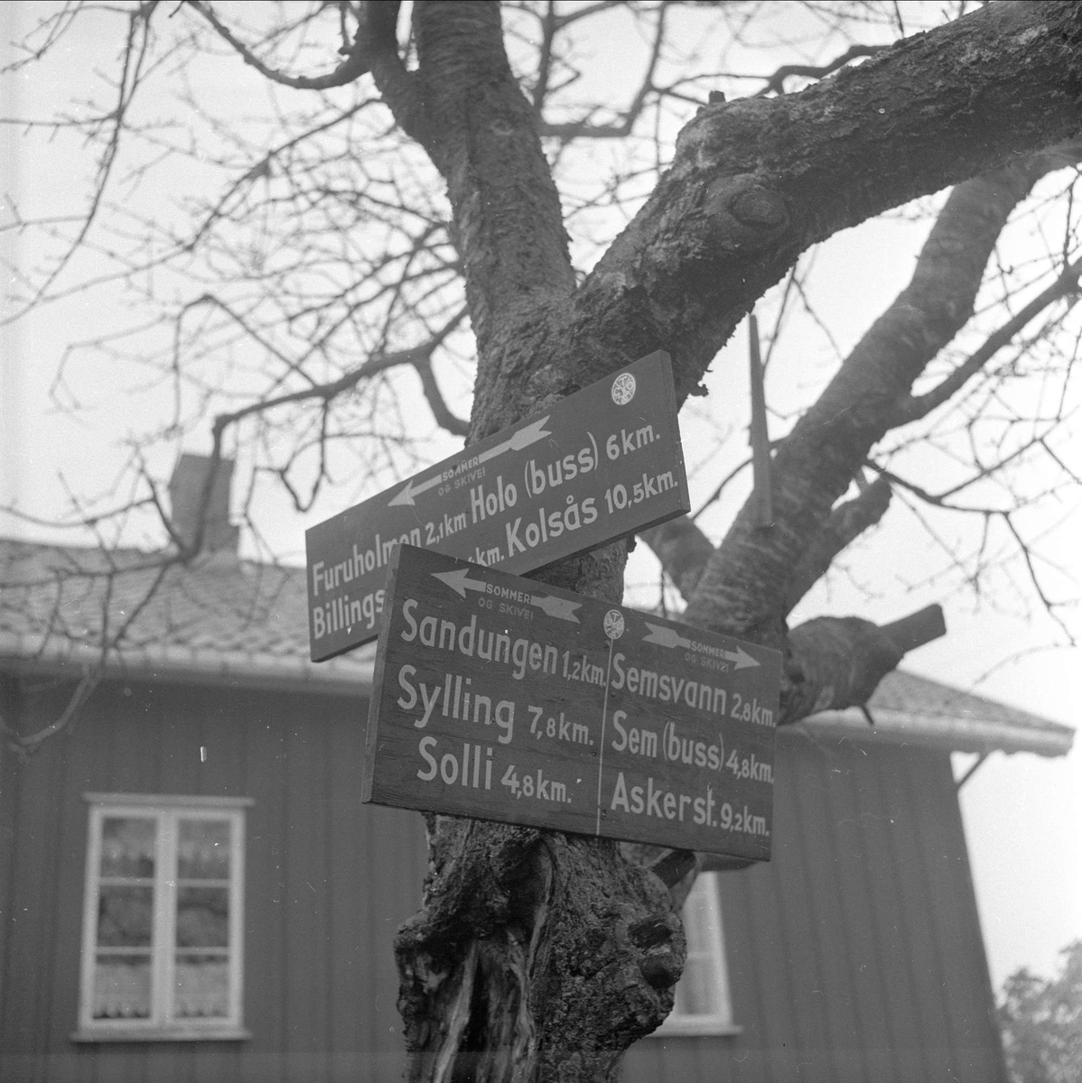  Øvre Rustan, Bærum, 08.11.1958. Bolig og tre med skilt, veivisere.