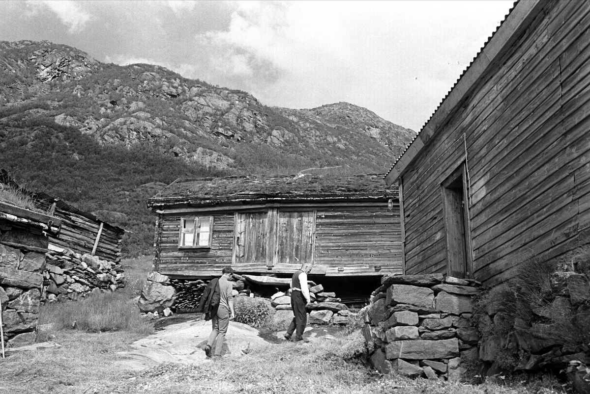 Fra Sogn 01.08.1967. To menn på vei opp til huset i Jostedalen.