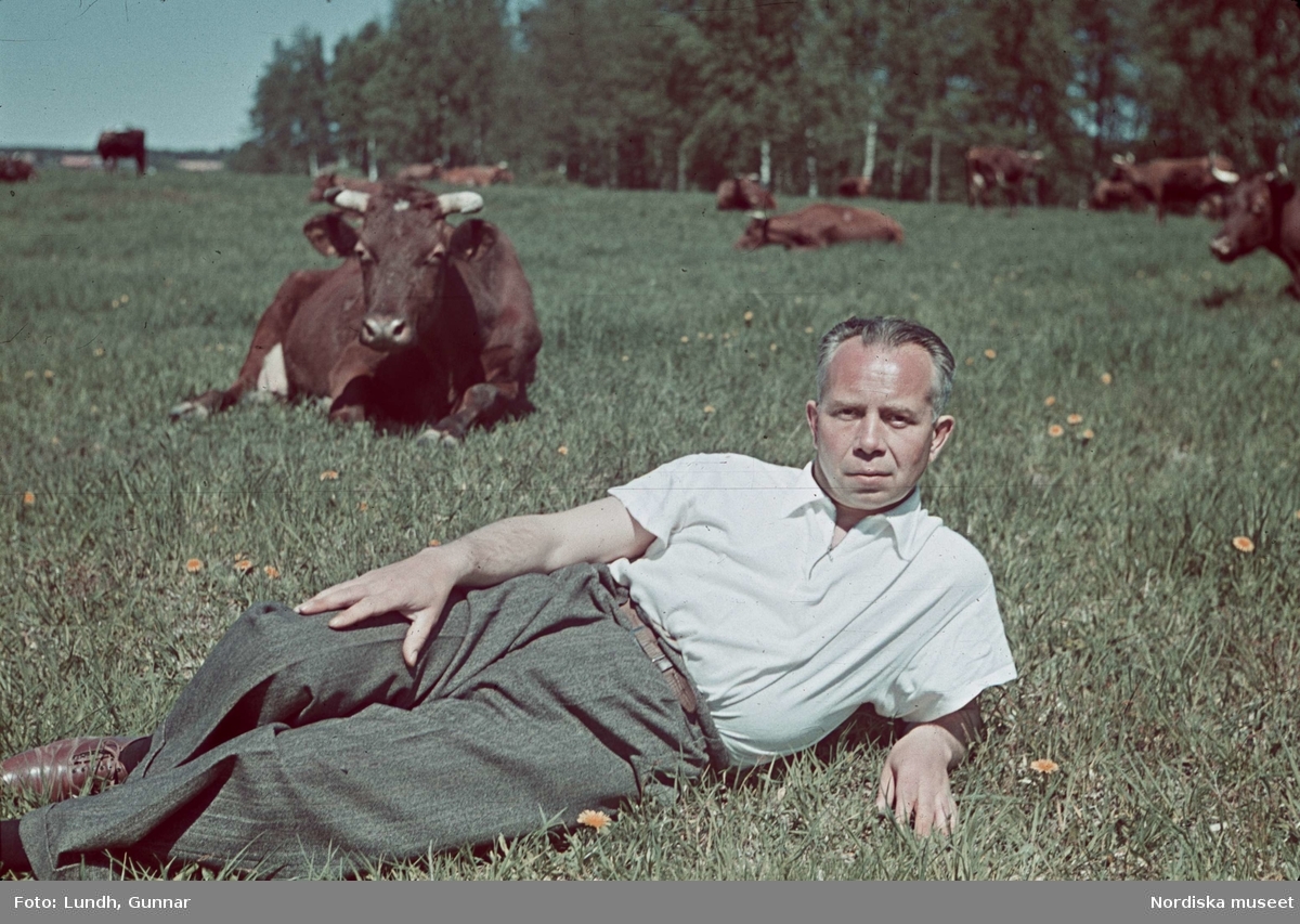 Ivar Lo-Johansson, författare (1901-1990) i kohage.