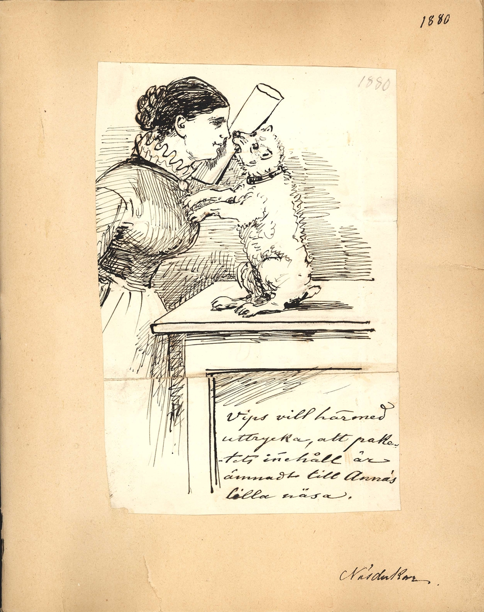 Teckning av Fritz von Dardel. En hund sitter på bakbenen på ett bord och sträcker fram ett paket han bär i munnen mot en kvinna. "Vips vill härmed uttrycka att paketets innehåll är ämnadt till Annas lilla näsa." "Näsdukar"