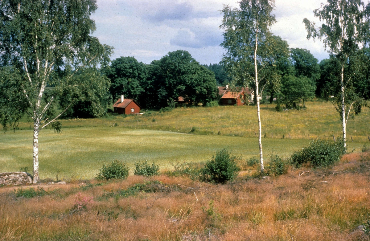 Åkermark i Grytbol, Funbo socken, Uppland 1968