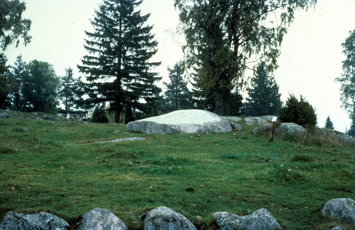 Granbyhällen, Orkesta socken, Uppland 1981
