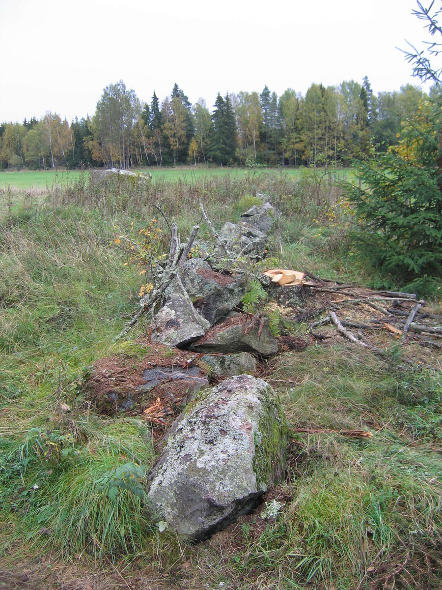 Arkeologisk undersökning, Tibble, Tillinge socken 2006