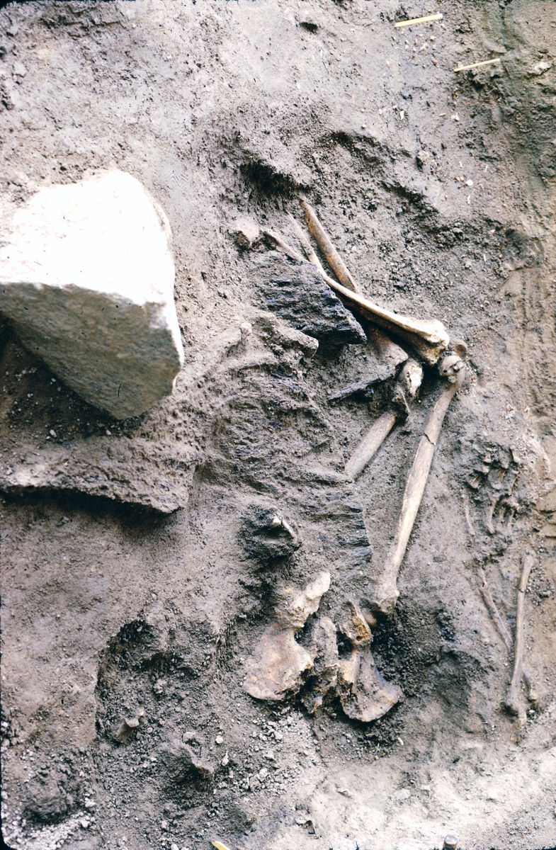 Prästgården, skelett - Arkeologi Gamla Uppsala 1973