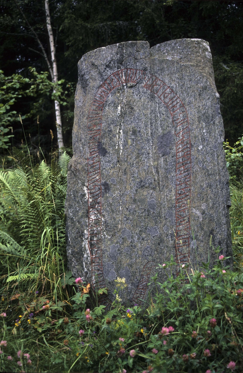 Runstenen Hållnäs 122:1,  Lingnåre, Hållnäs socken, Uppland 2000