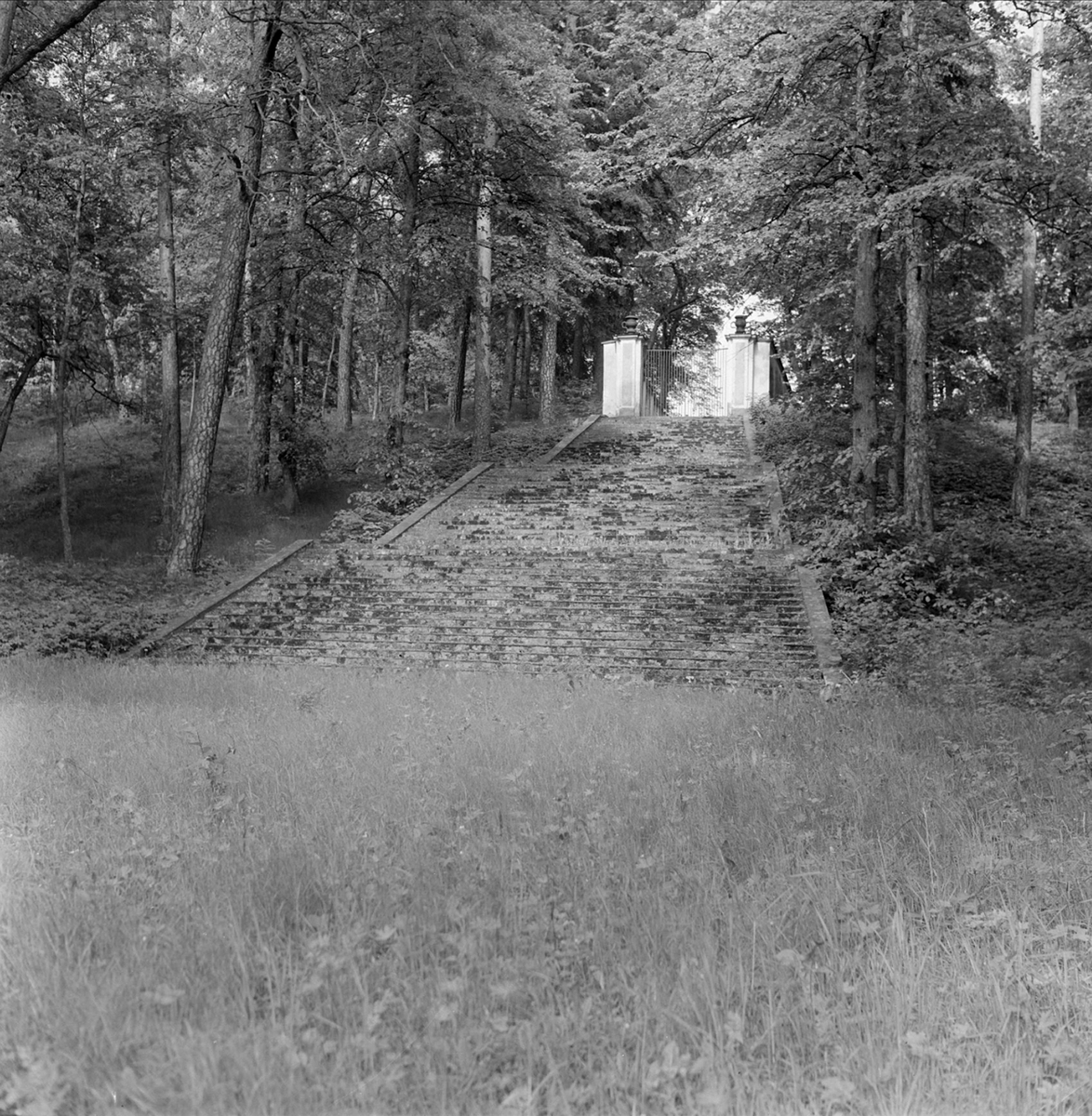 Herrgårdsparken i Stora Wäsby säteri i Stora Väsby, Hammarby socken, Uppland 1960