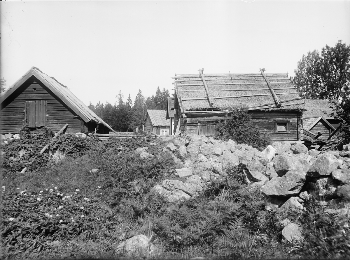 Gårdsmiljö - Zetterberg, Hållen, Hållnäs socken, Uppland, sannolikt 1930-tal