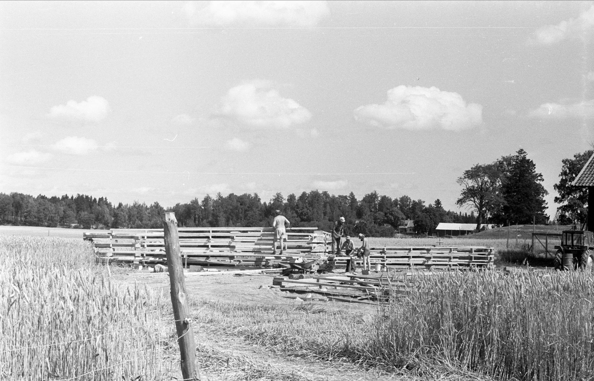 Nya ladugården, Lytta 6:1, Bälinge socken, Uppland 1976
