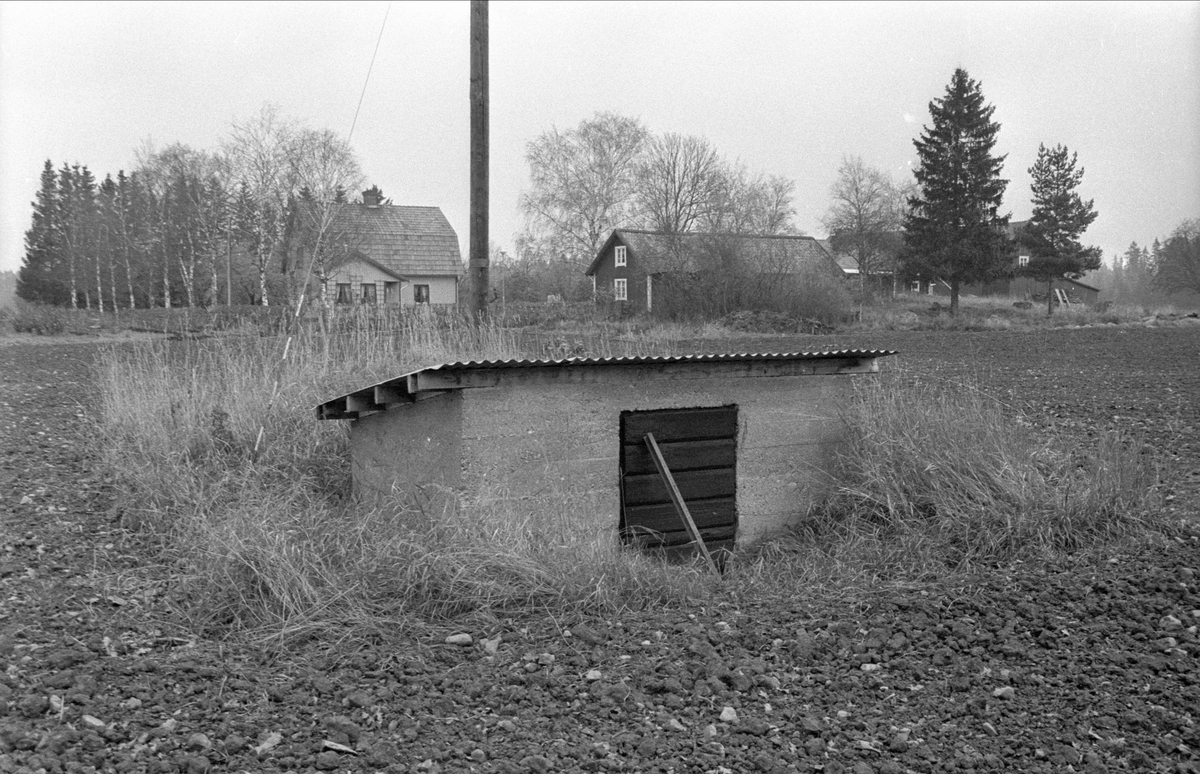 Källare, Fullerö 16:4, Gamla Uppsala socken, Uppland 1978