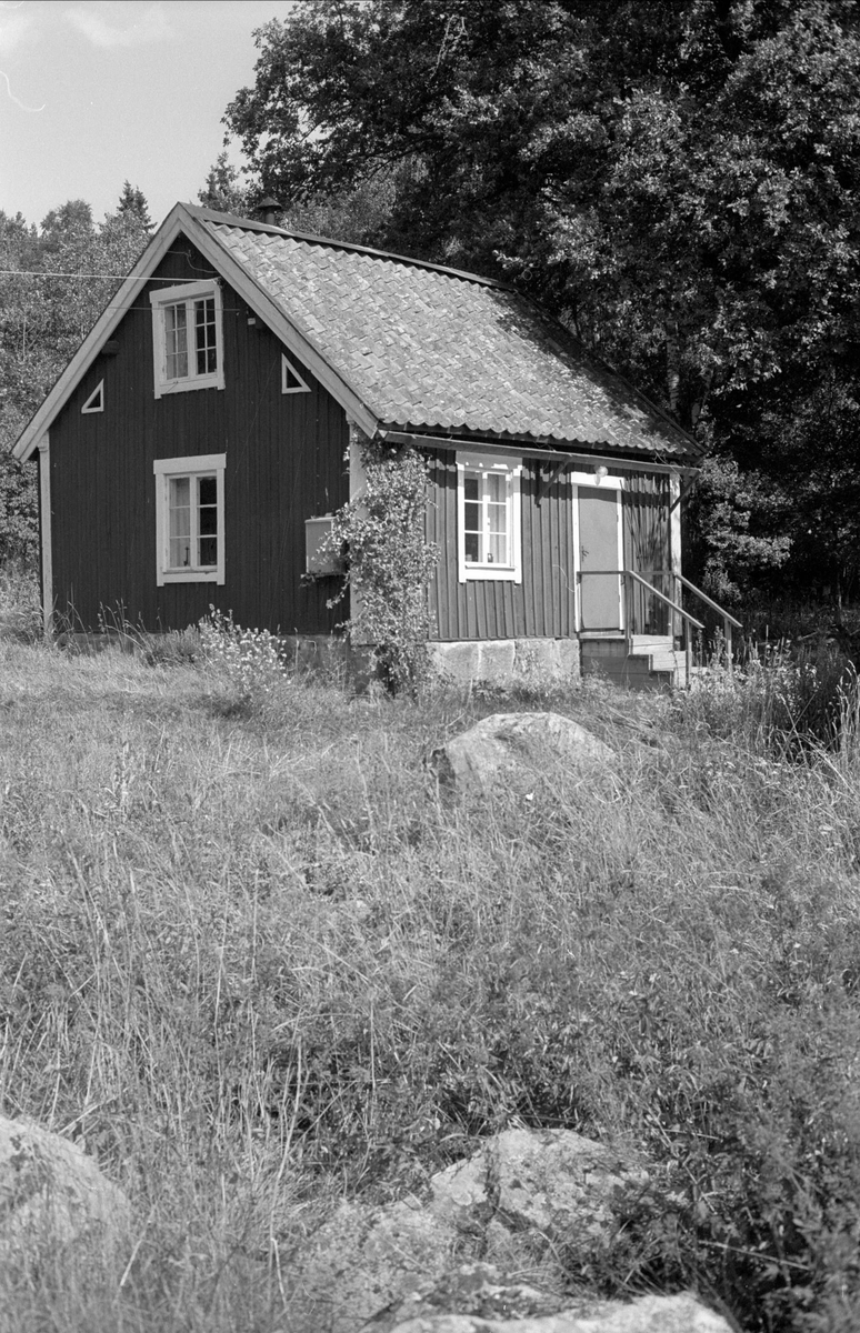 Bostadshus, Östra och Västra Backstugorna, Halmby 2:4, Halmby, Funbo socken, Uppland 1982 