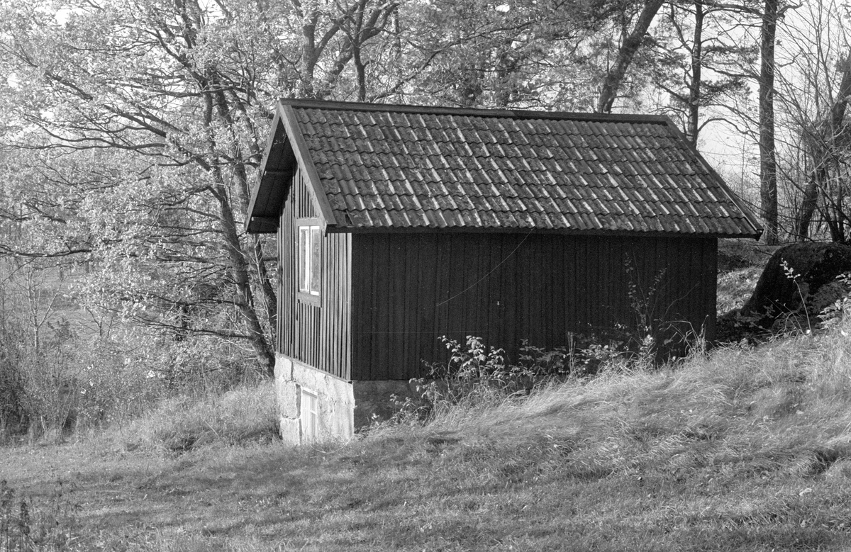 Källarbod, Bläckhornet, Hammarskog, Dalby socken, Uppland 1984