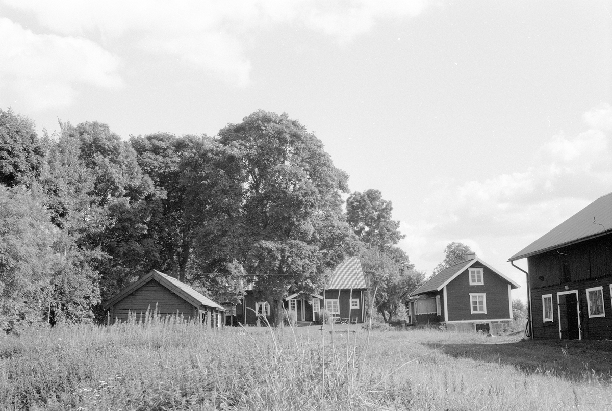 Bodlänga, bostadshus och ladugård, Knutby-Kumla 1:4, Kumla, Knutby socken, Uppland 1987