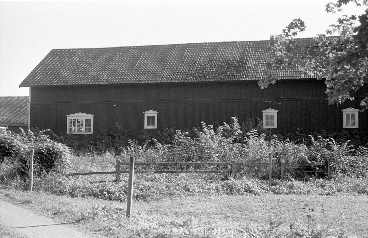 Redskapslider/magasin, Hagby gård, Almunge socken, Uppland 1987