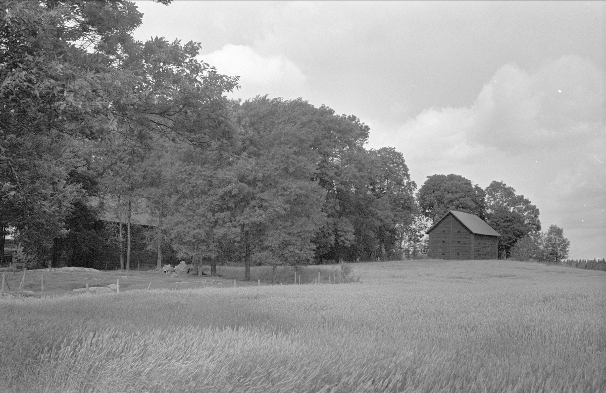 Magasin, Väsby gård, Stora Väsby, Almunge socken, Uppland 1987