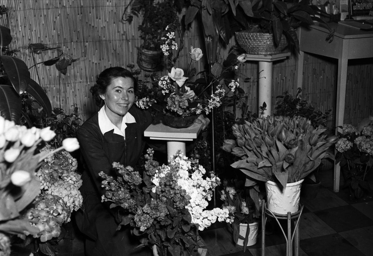Viola blomsteraffär, Drottninggatan 1 i Uppsala år 1954