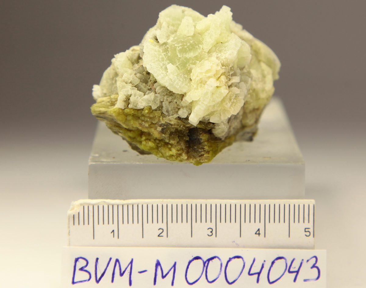Prehnitt, blek grønne krystallrosetter, på epidot.
89