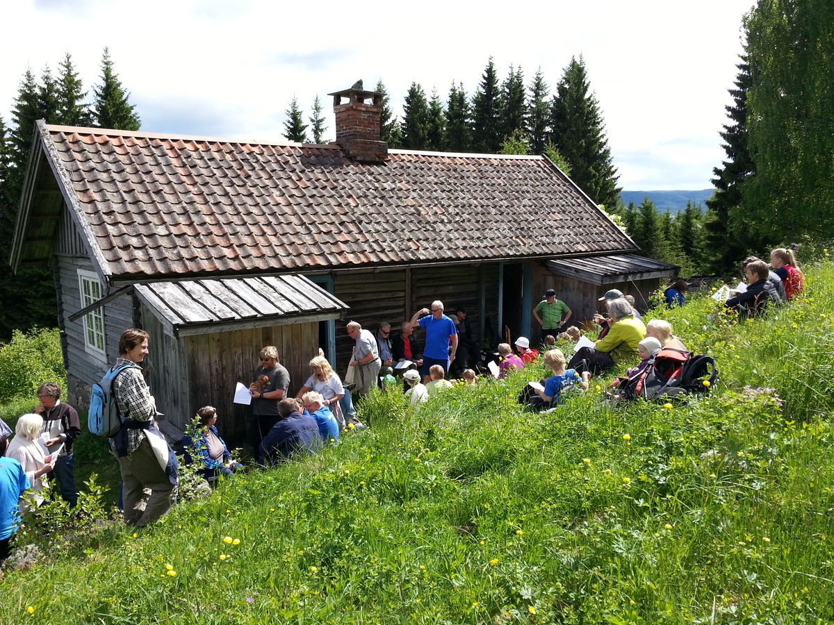 Amundstuen - Randsfjordmuseet as / DigitaltMuseum