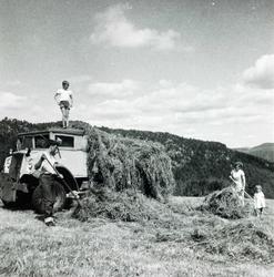 Høying på lastebil. Hele folket i arbeid på Øvre Flottorp. A