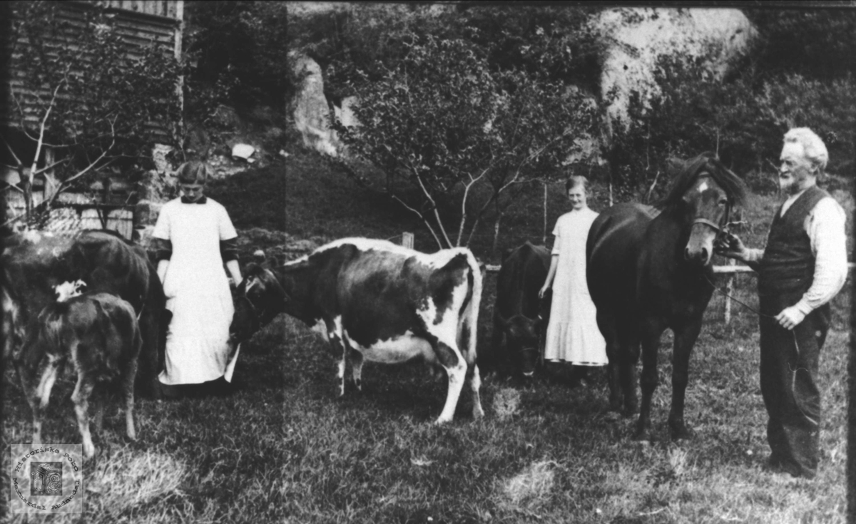 Søstre og far med bufe og hest, Halse i Mandal.