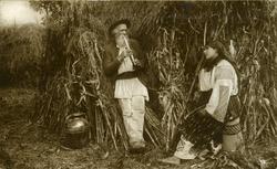 Rumenske folketyper.