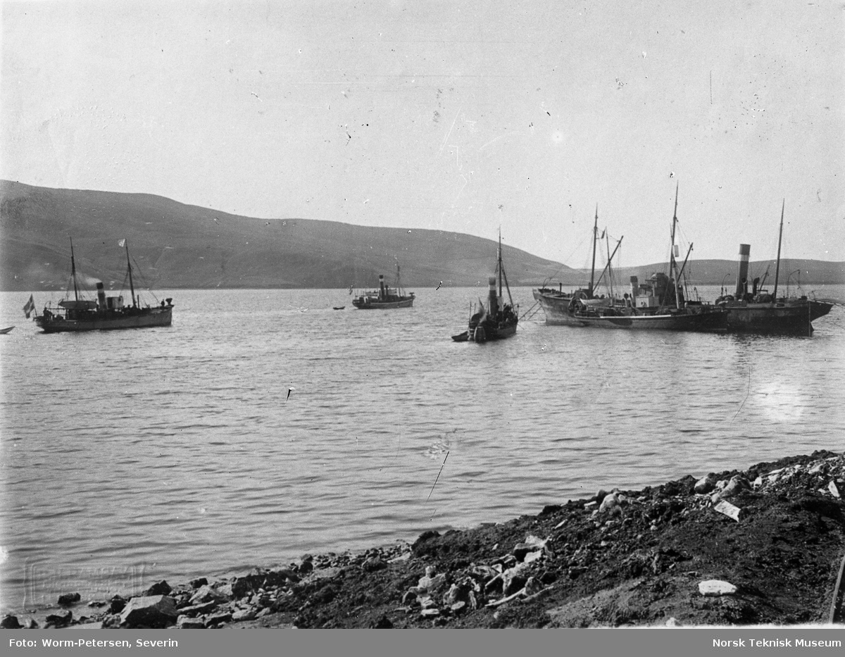 Fartøyer ved Olna Station i Olnafirth på Shetland, tilhørende Olna Whaling Co. (Chr. Salvesens & Co), sommeren 1906.