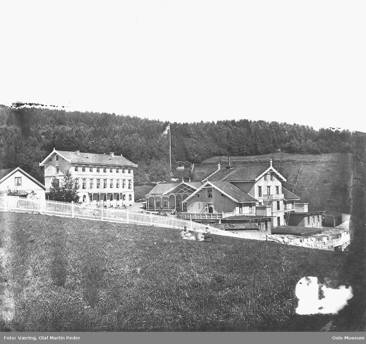 Grefsen sanatorium, kulturlandskap, skog