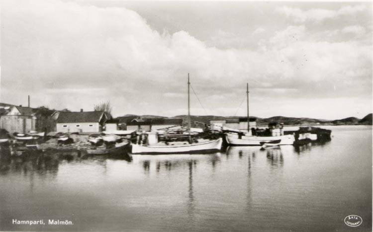 Tryckt text på kortet: "Hamnparti. Malmön". 
"Förlag: E. Leikness, Bohus Malmön".
Noterat på kortet: "8-9 sept. 1951".