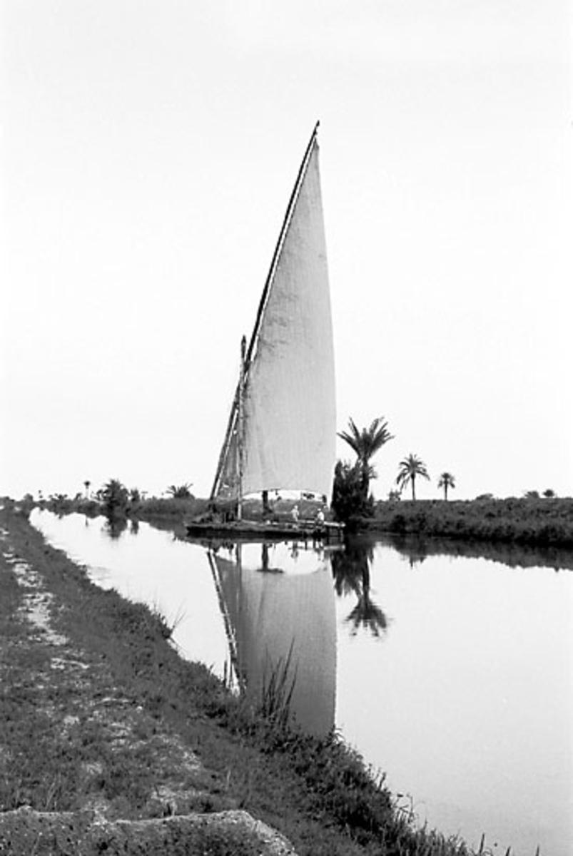 Afrikaresa, Port Said, Kairo.
Samtidigt förvärv: Böcker och arkivmaterial.
35 bilder i serie.
