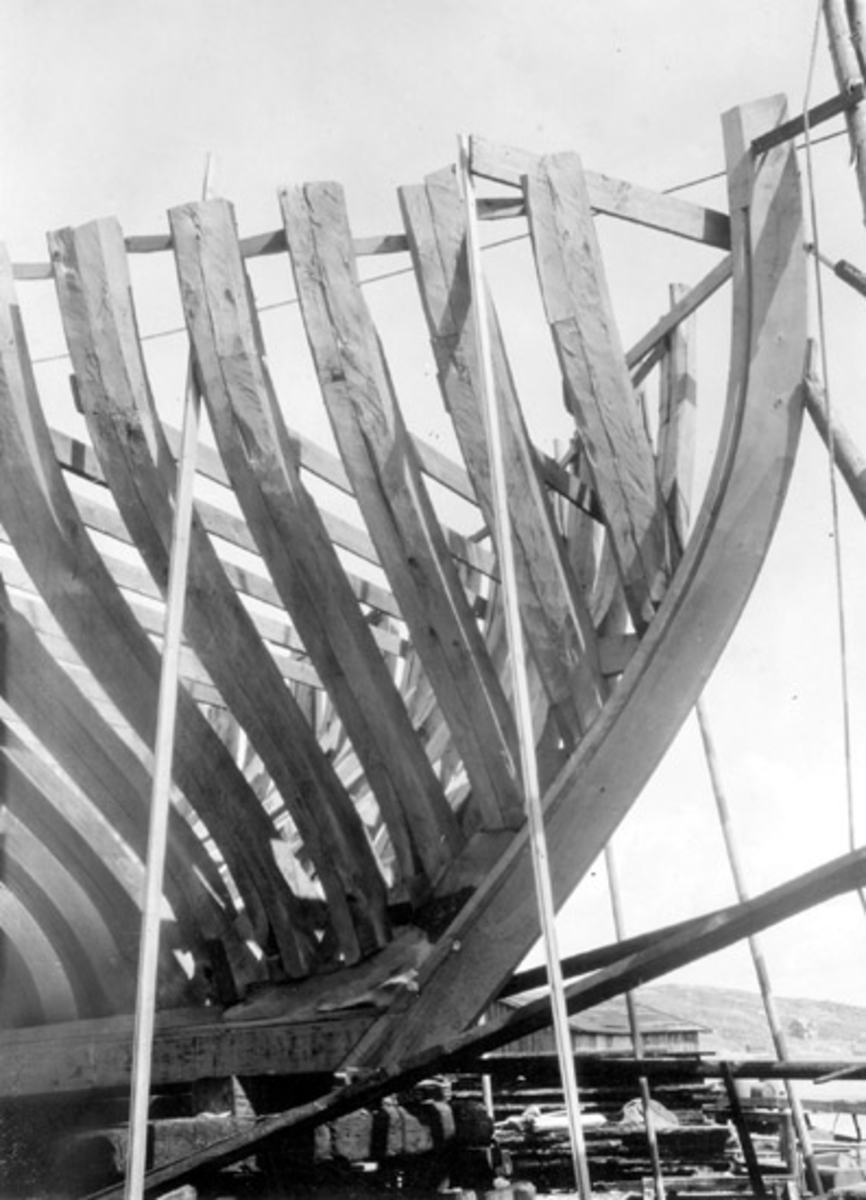 Skrivet på vidhängande papper: Fören till en kravellbåt, med spanten resta.
Fotograferat av: G.B.G. museum
Fotot är taget: 1930