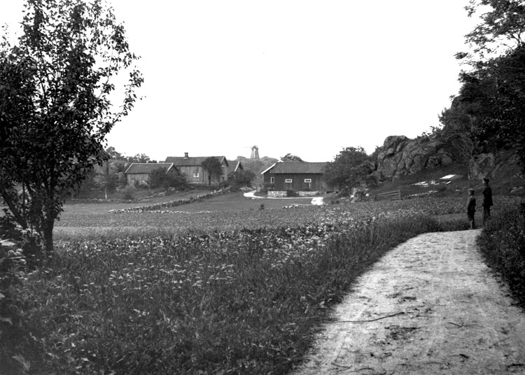 Sommarbild från Toröd 1924