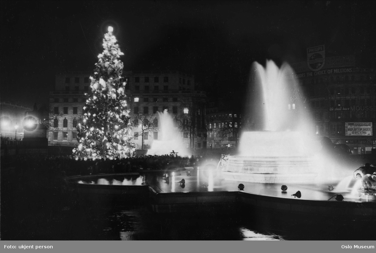 Trafalgar Square, utsikt, plass, juletre, fontene, kontorbygninger, South Africa House, nattemørke