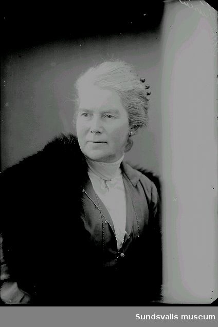 Kvinnnoporträtt, Fru Sällvin, född Bylund.