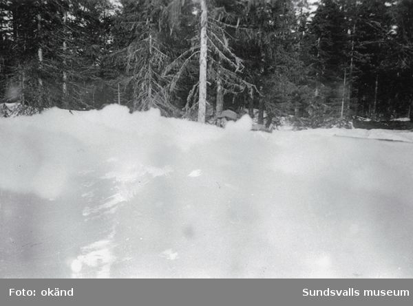Baggböle skyttefelt om vinteren 1945. 2. lag under framrykkingen. (Bildtext i fotoalbum. Ägare Emil Tessem, Steinkjer.)