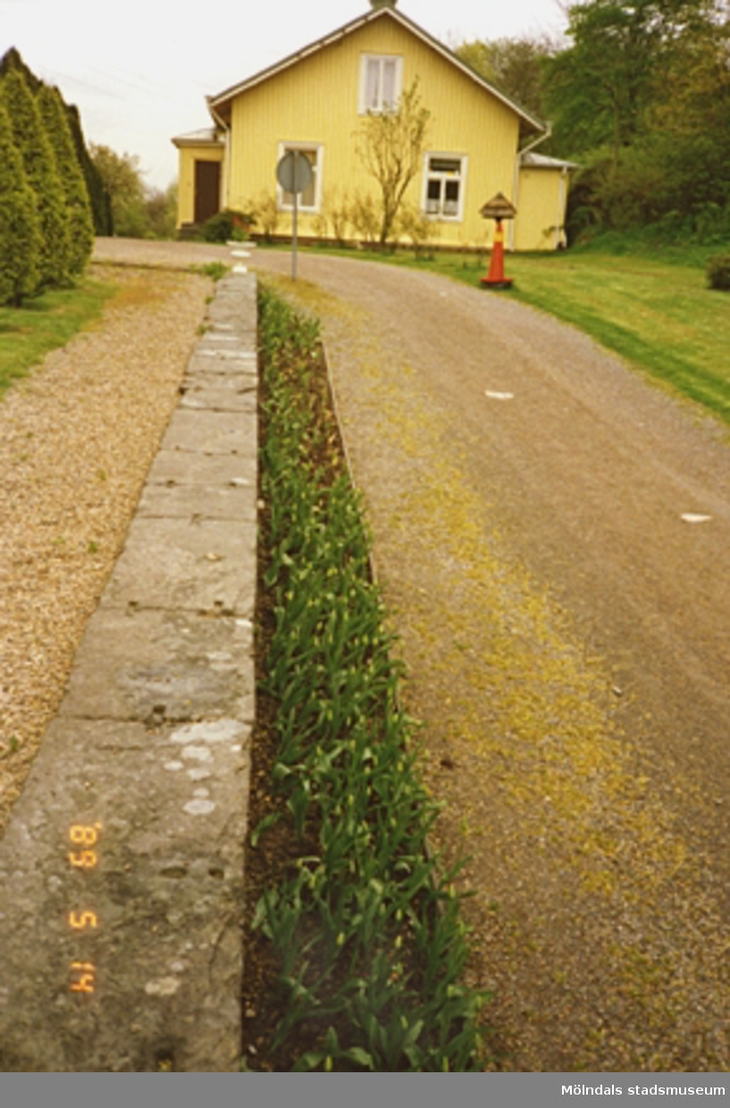Ett gult bostadshus som ligger åt öster från slottets håll sett. I bildens mitt ses en stenmur, blomsterrabatt och grusgång som leder mot bostadshuset.