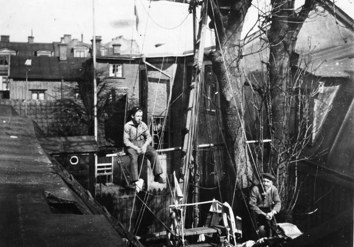 Nedtagning av Ask i trädgården på Fregattgatan 13A hos f.d. elektromekaniker Edvin Lindström, sonen Arne (med skepparmössa) deltar i rivning av upprigade lekmast 1929.