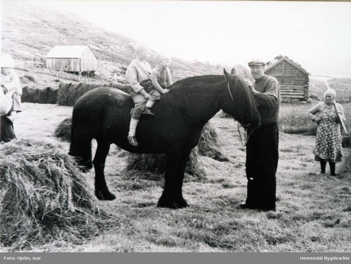 På Hensrudvollen på Løkenstølane i 1953.
Torleiv Hensrud held hesten medan Yngvar og Torbjørn Hjelm sit på hesteryggen. Med rive: Kari Intelhus.
I venstre biletkant Arne Dypsjø med barnet sitt, Dag, på armen