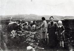 Holdeskaret i Hemsedal i 1937
Frå venstre: Fru Astrid Magnes