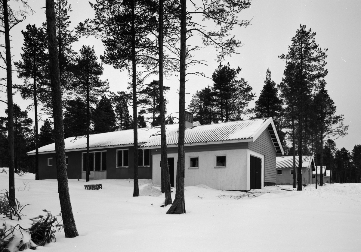Villaområde i Luleå
Exteriör, villaområde med tallar, vinterbild